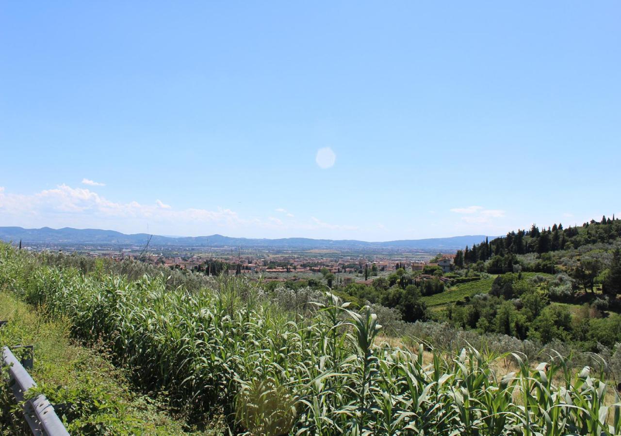 Ulivo Rosso Bed & Breakfast Sesto Fiorentino Dış mekan fotoğraf
